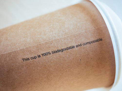 100 biodegradable paper hot cup