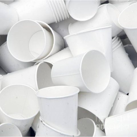 Disposable Biodegradable Paper Cups