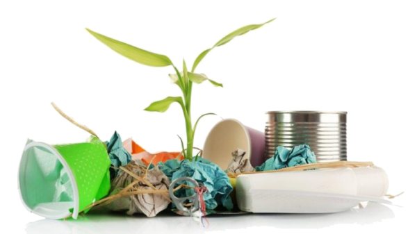 Main - Paper Cup Store